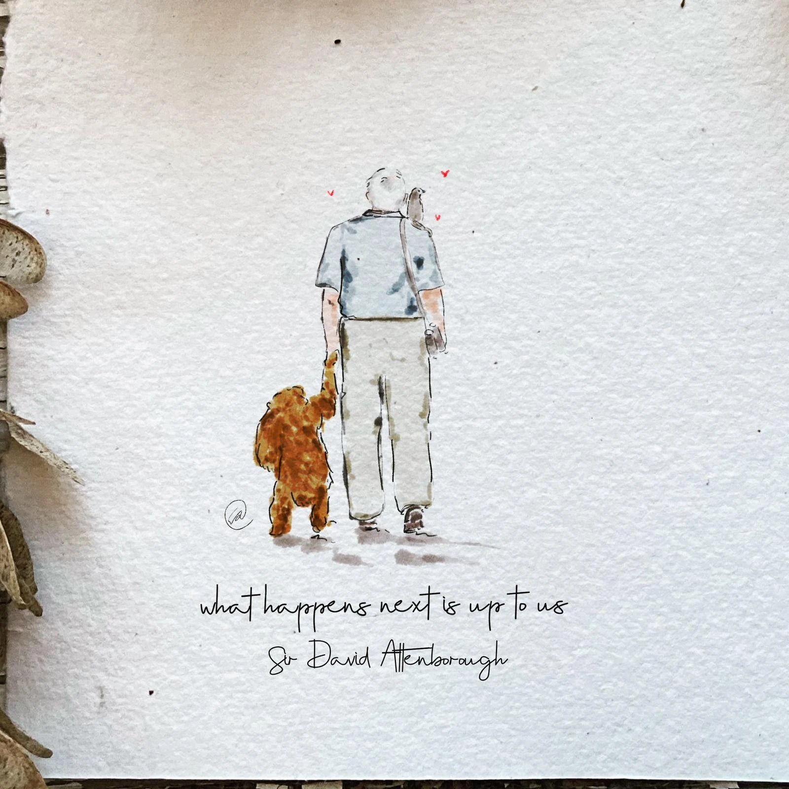 David Attenborough Print