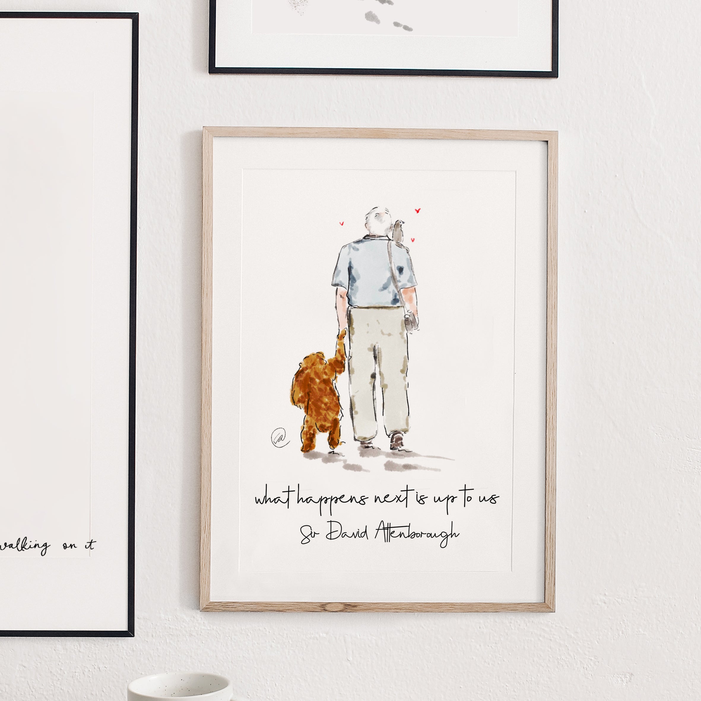 David Attenborough Print